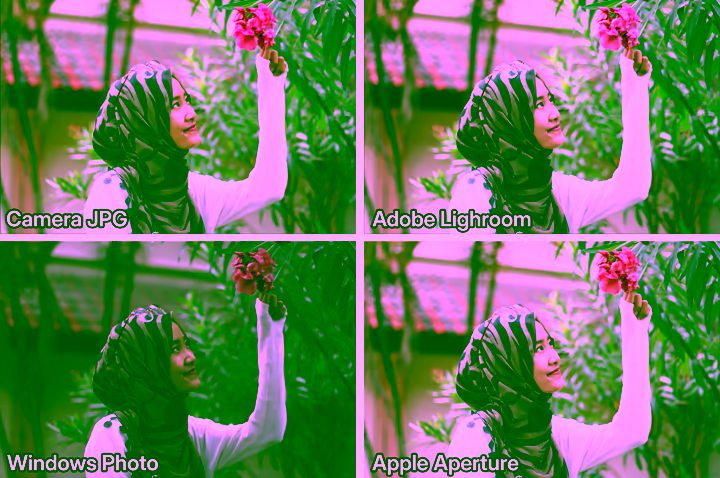 Raw process result comparison