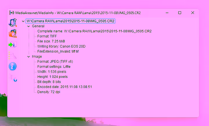 Canon RAW MediaInfo